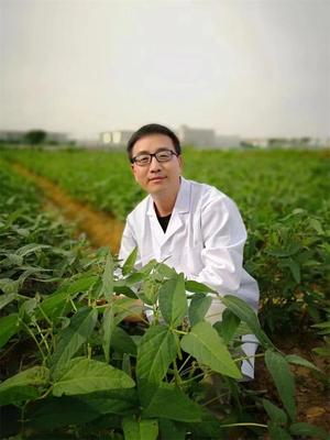 王學(xué)路教授科研成果榮登2021年度“中國高等學(xué)校十大科技進(jìn)展”，為農(nóng)業(yè)科學(xué)發(fā)展注入新動(dòng)力