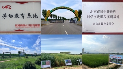 中國農(nóng)大涿州農(nóng)業(yè)科技園區(qū)入選全國科普教育基地，助力農(nóng)業(yè)科學(xué)新發(fā)展