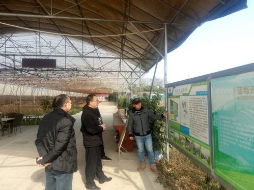四川省農(nóng)科院科技處黨支部赴基層調(diào)研新型農(nóng)業(yè)經(jīng)營主體發(fā)展